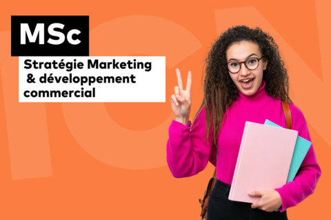 MSc stratégie marketing